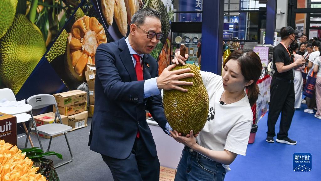 澳门新普京网